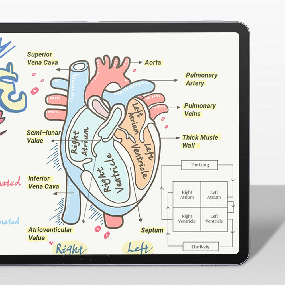 Apple iPad Pro 11 2025 M5 Kağıt Hisli Benks Mat Paper-Like Ekran Koruyucu