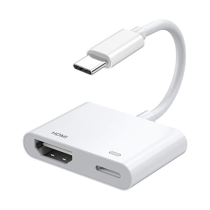 Zore Type-C to Type-C PD100W + HDMI 4K@30Hz 2in1 Adaptör